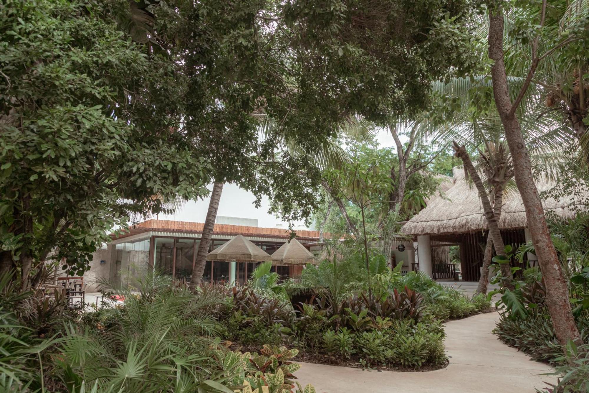 Prana Boutique Hotel 图卢姆 外观 照片